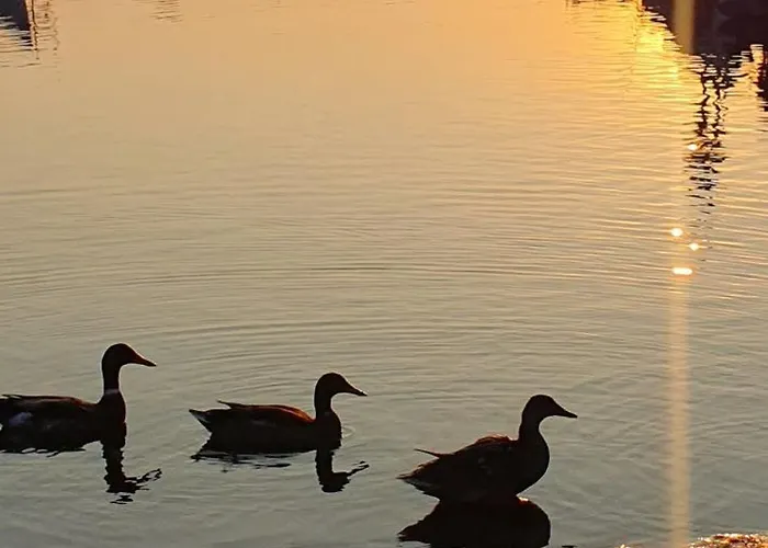 Maison d'hôtes Compass 3*